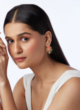 Pink blaze Earrings